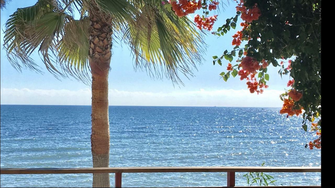 Mi Capricho 170 Beachfront Apartment Sitio de Calahonda ภายนอก รูปภาพ